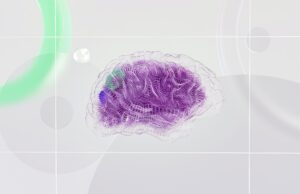 Las neurociencias y su influencia en la psicología