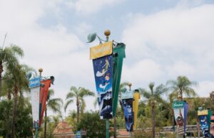 El Síndrome de Peter Pan