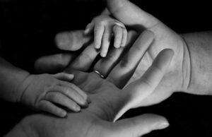 El vínculo y su relación con lo colectivo